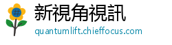 新視角視訊